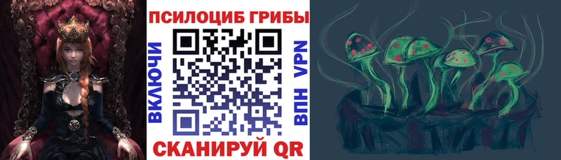 цена   blacksprut ССЫЛКА  Псилоцибиновые грибы Cubensis  Курск 